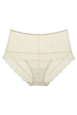 Natori Briefs-Beyond Brief