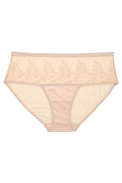 Natori Briefs-Frame Brief
