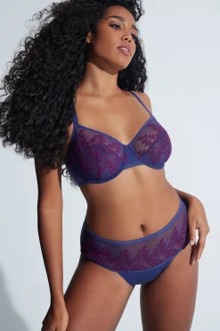 Natori Briefs-Frame Brief