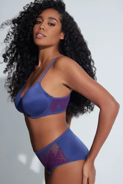 Natori Briefs-Frame Brief